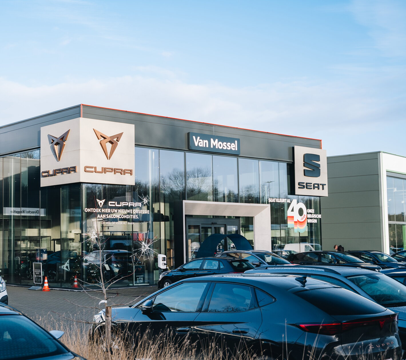 Cupra Showroom